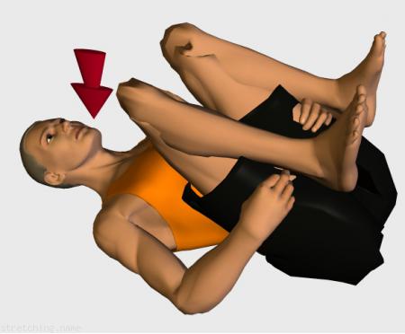 Tabella di allenamento di stretching (guida degli esercizi) consigliati per:  lombari,  sonno,  lombalgia.