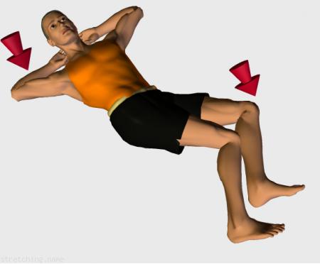 Tabella di allenamento di stretching (guida degli esercizi) consigliati per:  calcio,  pallacanestro,  ciclismo,  kayak,  pallavolo,  pesi,  baseball,  softbol,  pallamano,  schiena,  gambe,  anca,  sonno,  sciatica,  gluteo.