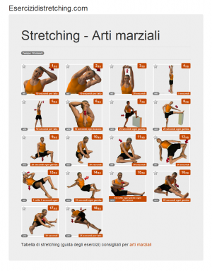 Immagine stretching: Arti marziali