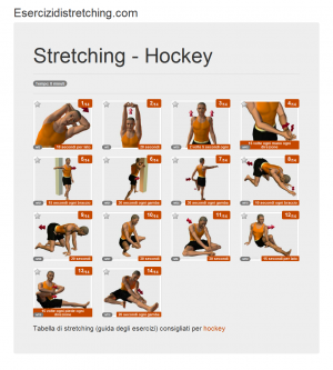 Immagine stretching: Hockey