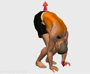 Tabella di allenamento di stretching (guida degli esercizi) consigliati per:  triatlon,  lombari.