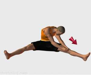 Tabella di allenamento di stretching (guida degli esercizi) consigliati per:  danza,  ginnastica,  gambe,  Adduttore.