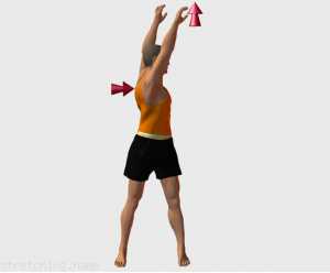 Tabella di allenamento di stretching (guida degli esercizi) consigliati per:  arti marziali,  baseball,  softbol,  kitesurf,  rilassamento della schiena,  intercostali.