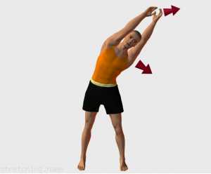 Tabella di allenamento di stretching (guida degli esercizi) consigliati per:  danza,  ginnastica,  baseball,  softbol,  kitesurf,  rilassamento della schiena,  intercostali.