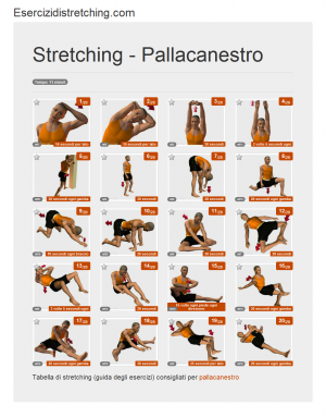 Immagine stretching: Pallacanestro